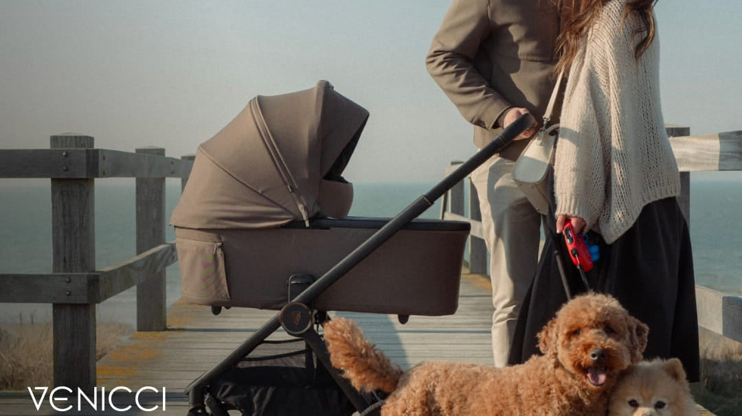 Venicci Event 28th & 29th June | Which Venicci Travel System Is Right for You?
