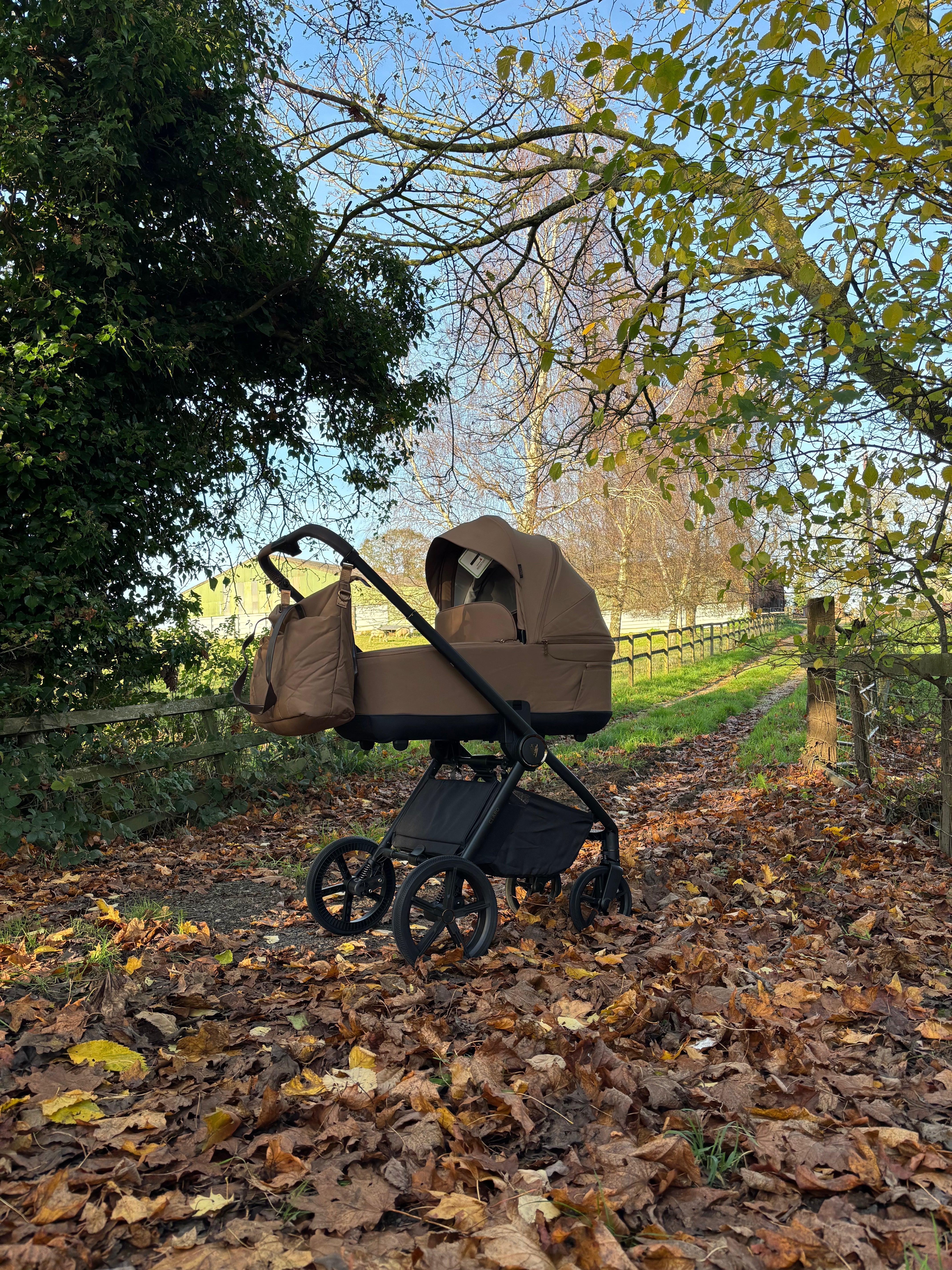 Venicci Event | Expert Advice and Exclusive Offers | 15th - 16th November