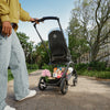 Bugaboo Dragonfly - Graphite/Grey Melange Complete