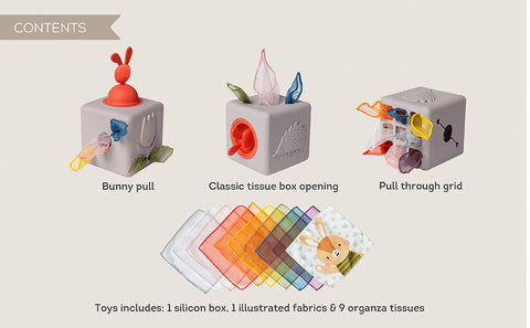 Taf Toys Pop-Up Tissue Box