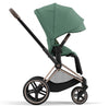 Cybex Priam Travel System Bundle - Rose Gold/Leaf Green