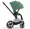 Cybex Priam - Chrome Black/Leaf Green