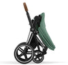 Cybex Priam Travel System Bundle - Chrome Brown/Leaf Green