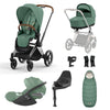 Cybex Priam Travel System Bundle - Chrome Brown/Leaf Green