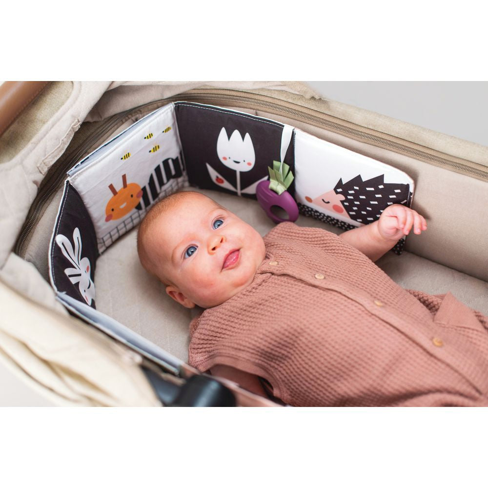 Taf toys pram book outlet