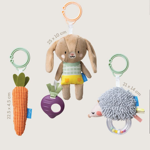 Taf Toys Activity Toy Kit