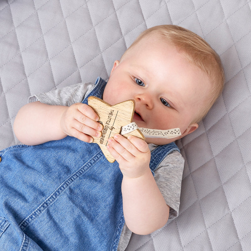 Shop sheep play gym Outlet Online Little Green Sheep Wooden Baby Play Gym and Charms Set Ocean Rainbow Bumpstart Baby Shop