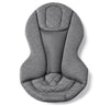 Ergobaby Evolve 3-in-1 Bouncer - Charcoal Grey